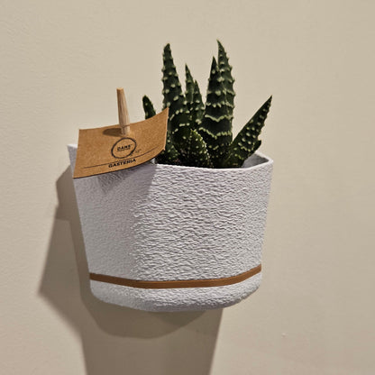 Modular Wall-Mounted Planter – Magnetic Base