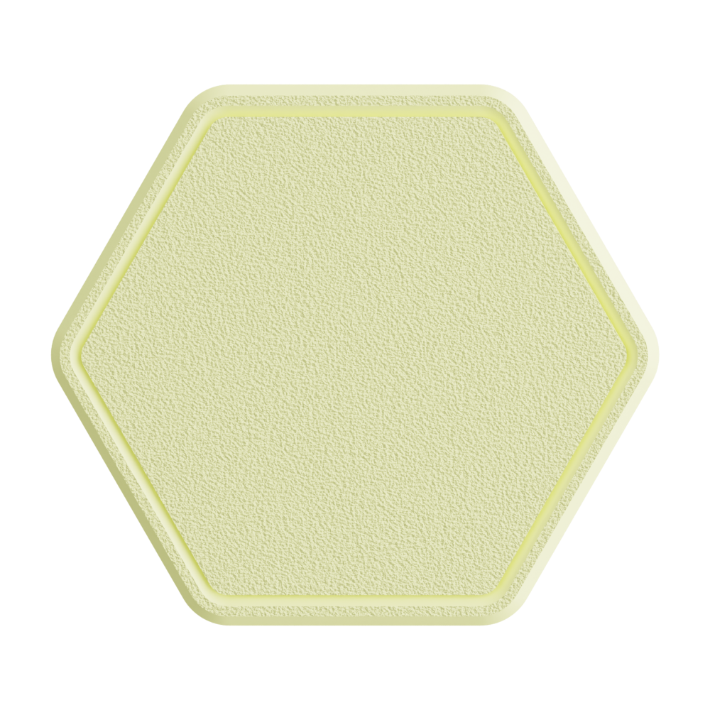 Wall Mount + Lid